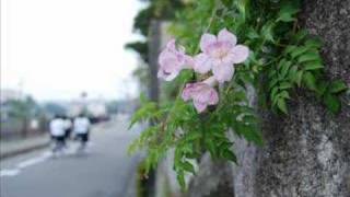 Dépression au-dessus du jardin