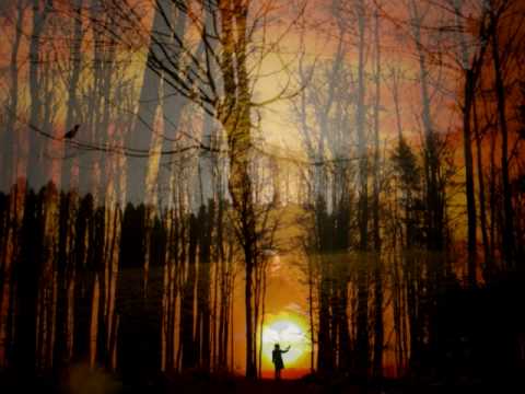 Darling Be Home Soon