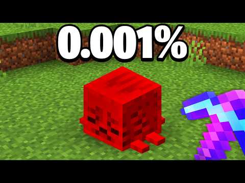 I Collected Minecraft's RAREST ITEMS in 24 Hours