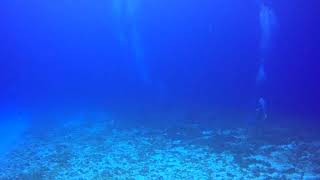 Cozumel 2023, Day 4, Dive 2, Part 4