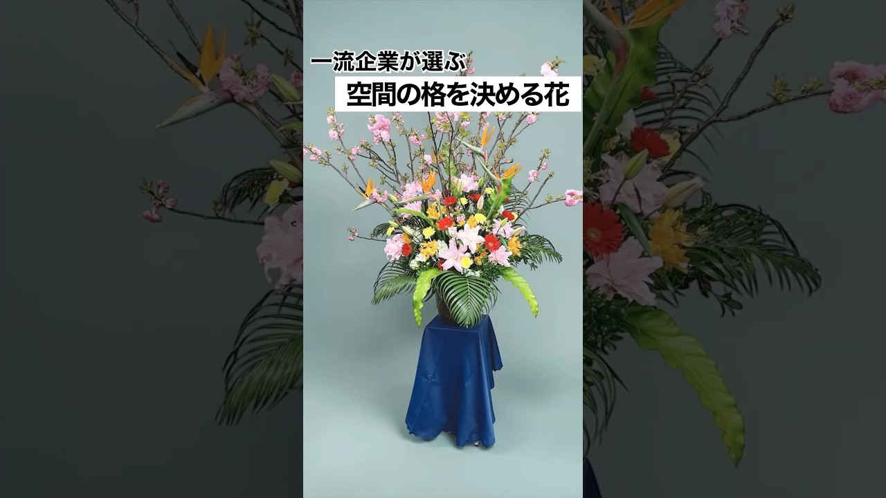 一流企業が選ぶ“空間の格”を決める花とは？