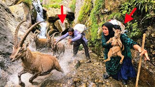 Download lagu 🏔️🐐 From the heart of the rocks to the children's table;an adventure that began next to a waterfall! mp3 Download lagu 🏔️🐐 From the heart of the rocks to the children's table;an adventure that began next to a waterfall! mp3