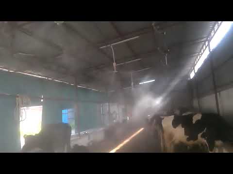 Fogger System For Dairy