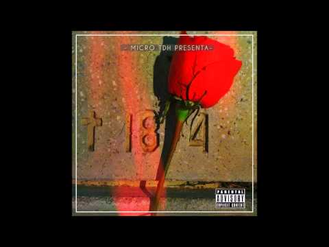 7.- Micro TDH - Pequeña Venecia [18/04 2016]