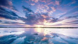 Cover art for Joe cauliflower