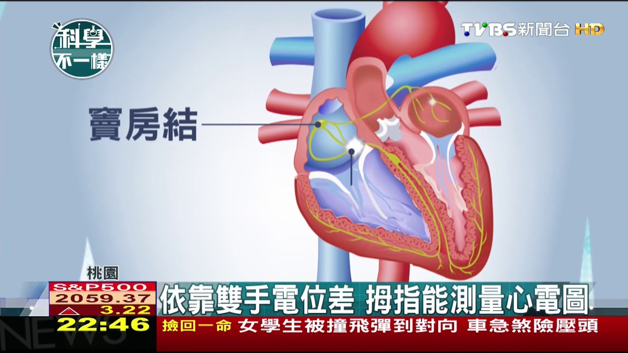 【科學不一樣】依靠雙手電位差 拇指能測量心電圖