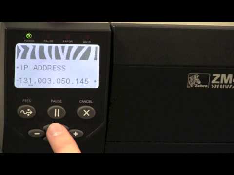 download lagu mp3 mp4 How To Find Ip Address On Zebra Printer, download mp3 How To Find Ip Address On Zebra Printer free download, download mp3 How To Find Ip Address On Zebra Printer
