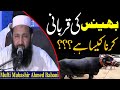 Bhains Ki Qurbani Karna Kesa H Shaikh Mufti Mubashir Ahmad Rabbani