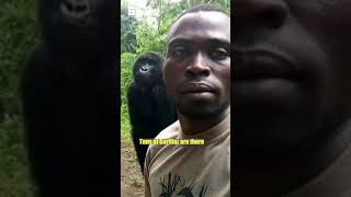 Democratic Republic of Congo - Things you never knew