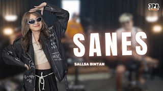 Download lagu SANES -  3 PEMUDA BERBAHAYA FEAT SALLSA BINTAN | Nyatane saksingkat singkate ceritane mp3