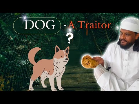 DOG - A Traitor ? | Sai Dilbag Ali Sidhwan Bet #dog #bayan #youtube