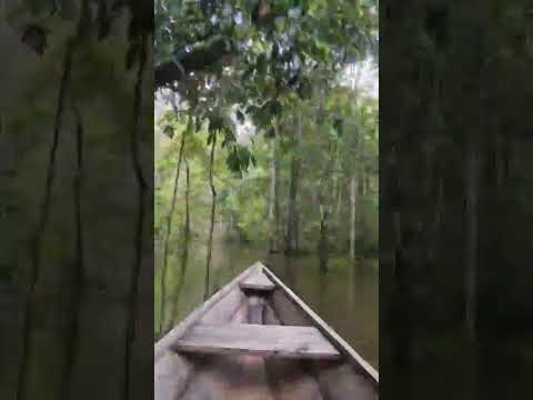 Um pedacinho do Rio Assuã - Canutama Amazonas