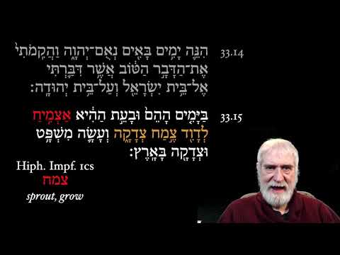 Reading Jer. 33.14-16