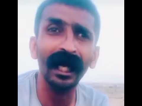 Meow 😼😼 ... hahaha 😂😂 #shorts #laughing #memes