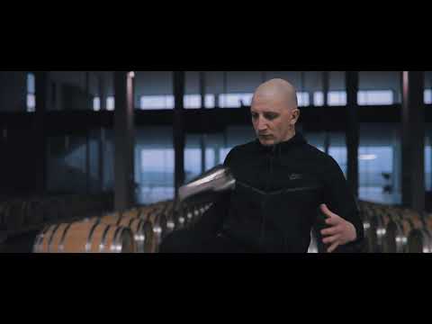 Srdjan Simic Flair promo video