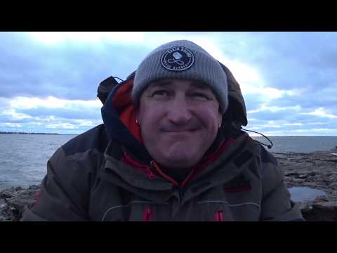 jei forex kompanija nuskendo