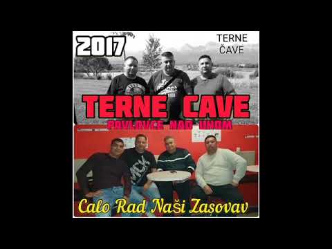 PAVLOVCE TERNE CAVE 65 - CALO RAD NASI ZASOVAV   LIZI   rok 2017