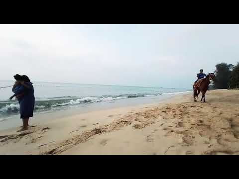 Relaxed Mind||Night Market beach in Penang