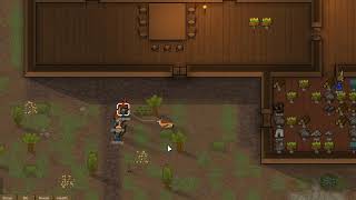 Video 7
