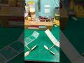 Aerostem Flystem Fly Indoorfreeflight Flyforindonesia
