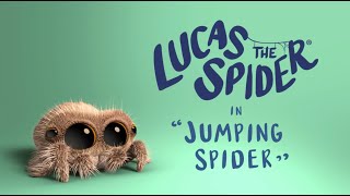 Lucas the Spider - Jumping Spider - Short
