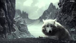 Groove Armada &amp; Richie Havens - Hands Of Time (lyrics)