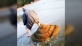 he hasn&#39;t pooped in 2 months..