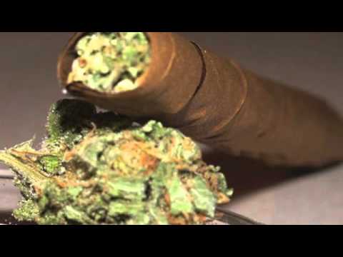 Kool Kidd- Regular [Prod. By JDOnTHeTack]