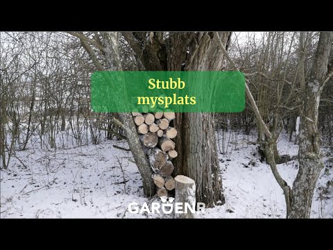 Stubbmysplats - Trädgårdshacks med GardenR