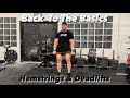 Hamstrings & Deadlifts | Back to the Basics
