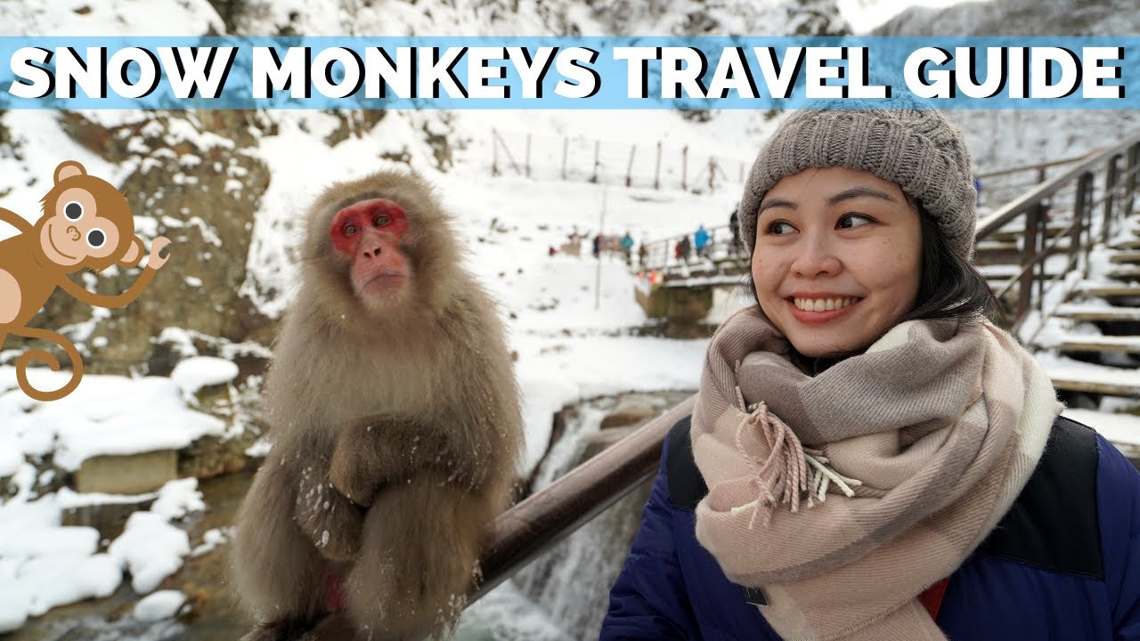 Join a duo as they embark on an exciting adventure through the enchanting Jigokudani Monkey Park.