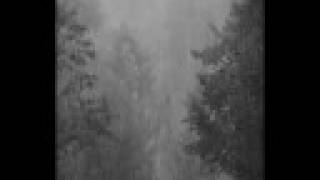 krakowski spleen Maanam