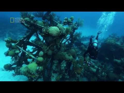 Trójkąt Bermudzki - Badacze Tajemnic - cały film dokumentalny - lektor PL