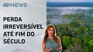 Miniatura do vídeo