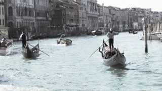 Mark Olson - Beehive and Mosaic Message #2