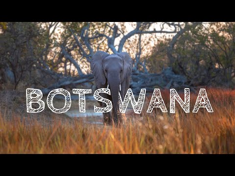 CAMPING IN BOTSWANA - Cinematic Travel Video (4K)