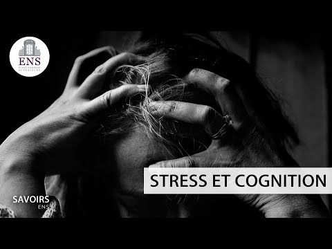 Stress et cognition - Jérôme Sackur