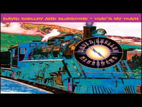 DAVID SHELLEY & BlueStone - That's My Train