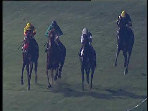 Galoppo 27/07/2019 - 6ª corsa