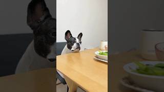 枝豆が食べたいフレブル