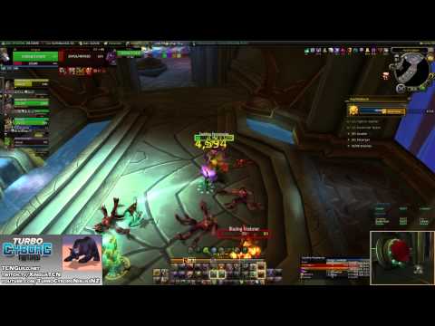 Bear Challenge Modes: Auchindoun - Gold (Guardian Druid POV)