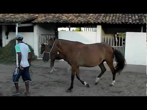 POTRO BH X OSIRIS.wmv