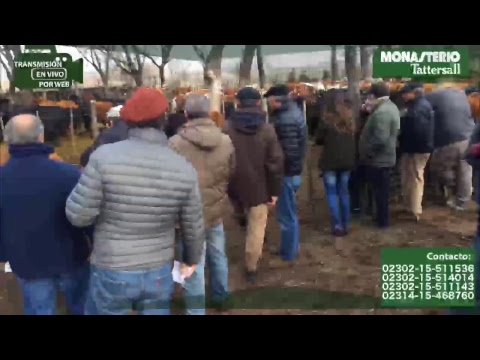 Daireaux - Buenos Aires - Monasterio Tattersall