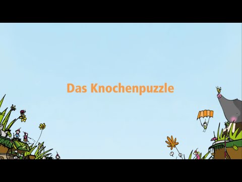 Bodenschätze 2.0 – Das Knochenpuzzle