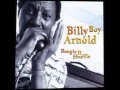 Greenville by Billy Boy Arnold (2001)