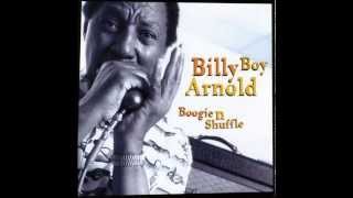 Greenville by Billy Boy Arnold (2001)