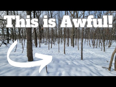 3 Reasons You Have Terrible Winter Deer Habitat and How to Fix It