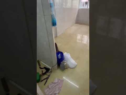 Chinese Mansion Youtube Video