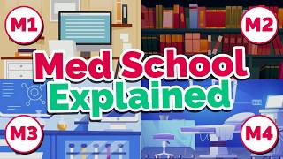 Every Year of Medical School (What to Expect)