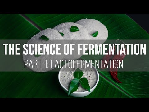 The Science of Fermentation: Lactofermentation